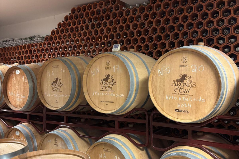Évora: Jeep Vineyards Tour with Regional Wine & Food Tasting