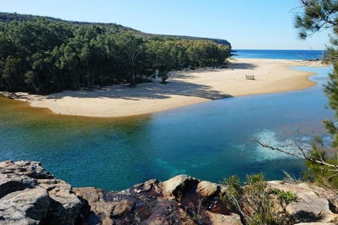 Royal National Park Guided Hike - Wattamolla and Garie Beach - Image 2