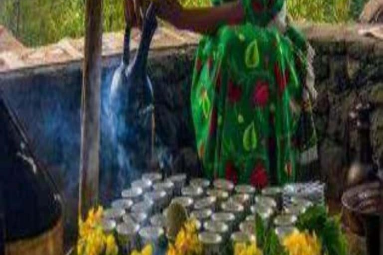 3-Day Coffee Farm & Local Culture Experience in Yirgalem