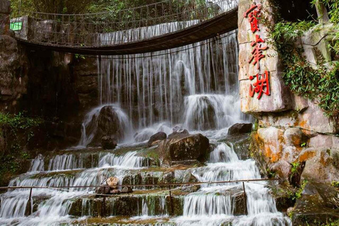 Zhangjiajie Glass Bridge & Tea Picking Small Group Day Trip
