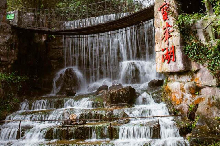 Zhangjiajie Glass Bridge & Tea Picking Small Group Day Trip