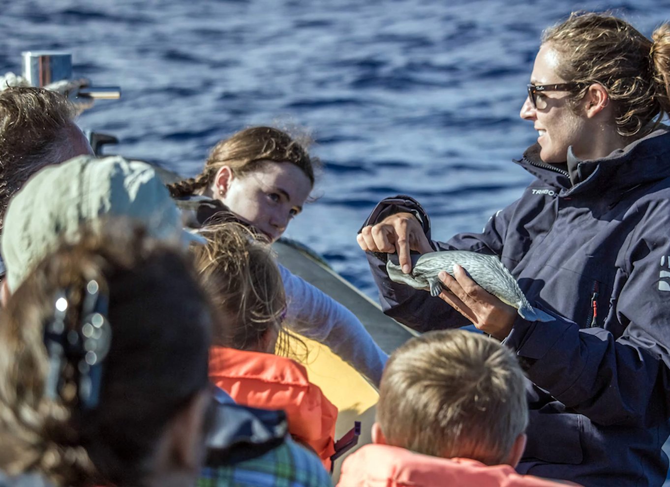 Hvalsafari og bådtur til småøer med en marinebiolog