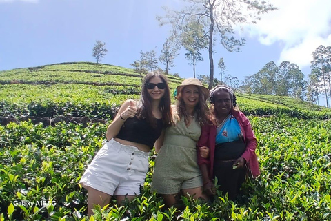 ELLA Lipton Seat Tea Test & Pluck 9Arch, Waterfalls, & Food Lipton's Seat, Little Adam Peak, 9 Arch, Ravana Waterfalls