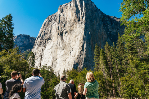 San Francisco: Yosemite National Park & Giant Sequoias Hike Shared Tour with French Audio Guide