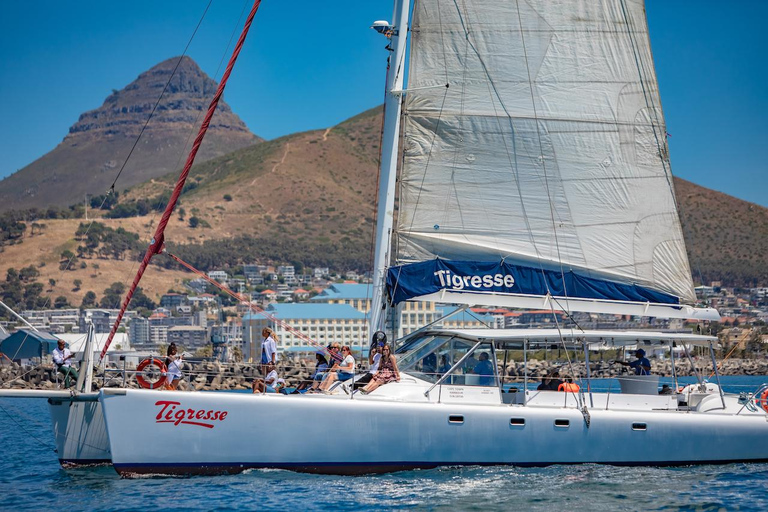 Cape Town: Sunset Catamaran Cruise with Sparkling Wine