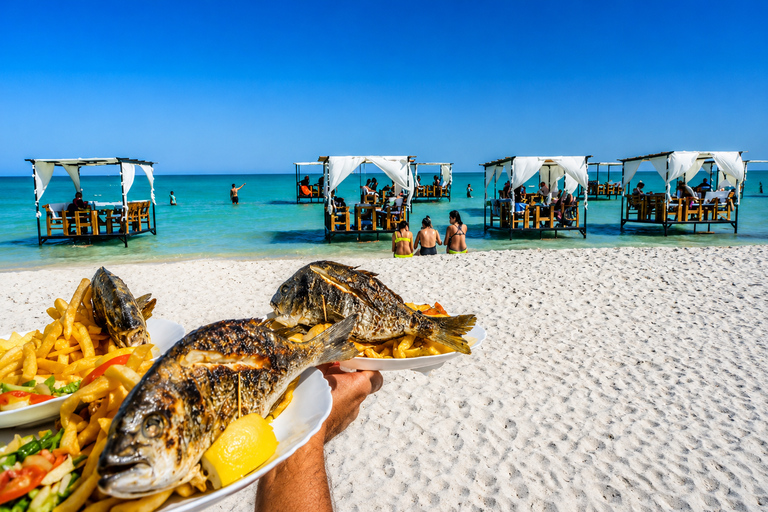 From Hammamet: Day Trip to the Turquoise Waters of Coco Beach From Hammamet: Day on the turquoise waters of Coco Beach