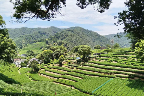 جولة خاصة شاملة كلياً في أبرز معالم مدينة شنغهايAll Inclusive Tour