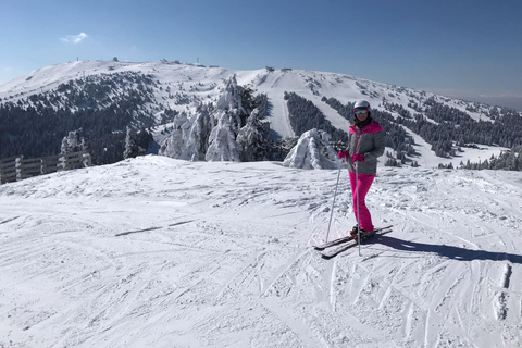 Vanuit Belgrado: Kopaonik nationaal park en skigebied hele dag