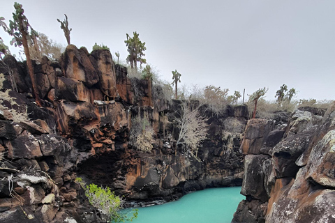 VISITE D&#039;UNE DEMI-JOURNÉE - BAIE DE SANTA CRUZ - 5 SITES DE VISITE ÉTONNANTS