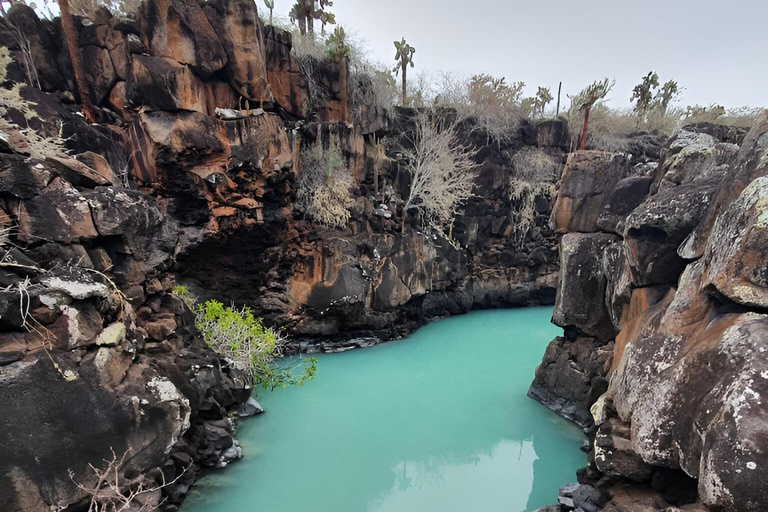 VISITE D&#039;UNE DEMI-JOURNÉE - BAIE DE SANTA CRUZ - 5 SITES DE VISITE ÉTONNANTS