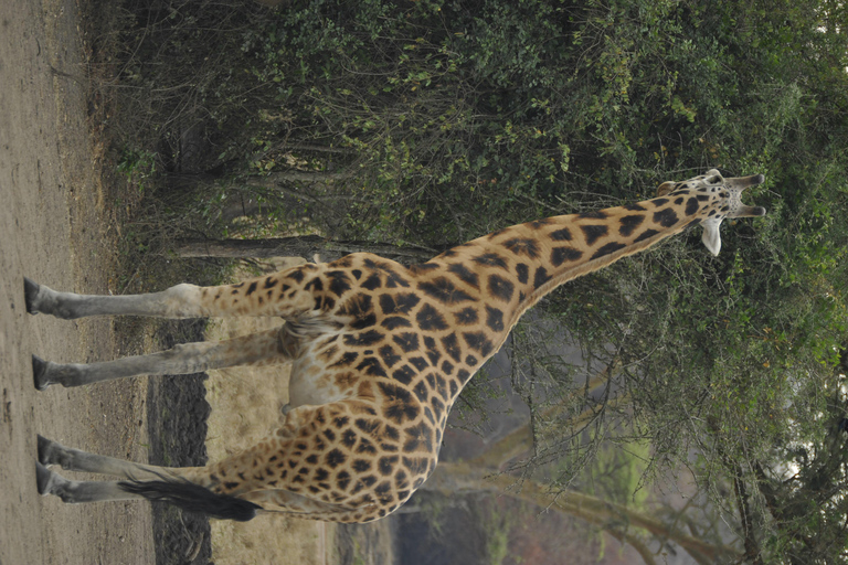 Uganda: 3-Day Lake Mburo National Park Adventure Tour