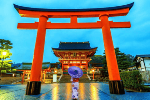 From Osaka: Osaka Private Customized Tour With English Guide Osaka : Osaka Private Tour With English Driver