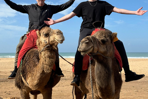 Escursione all-inclusive di un giorno da Cadice a Tangeri, in Marocco