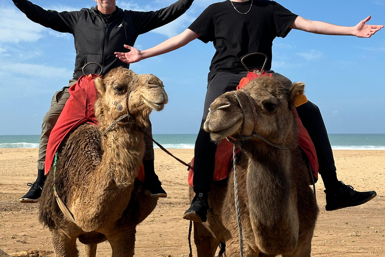 Excursión de un día con todo incluido de Cádiz a Tánger, Marruecos