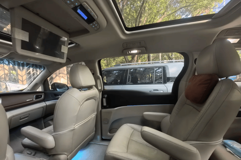 Guangzhou: Private Luxury Vehicle Tour - English or Spanish Guangzhou 8 Hour Tour - VOYAH DREAMPOWER/Buick