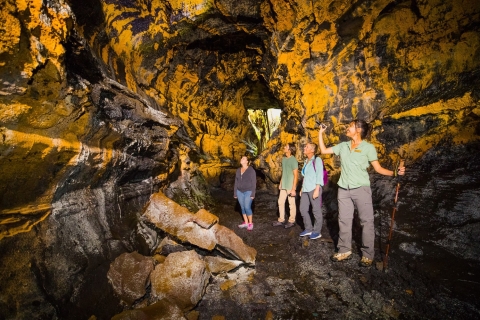 From Kona and Waikoloa: Intimate Volcano Discovery Tour Small Group Volcano Day Tour