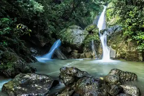 Tingo María: Honolulu and Chullachaqui Falls Exploration