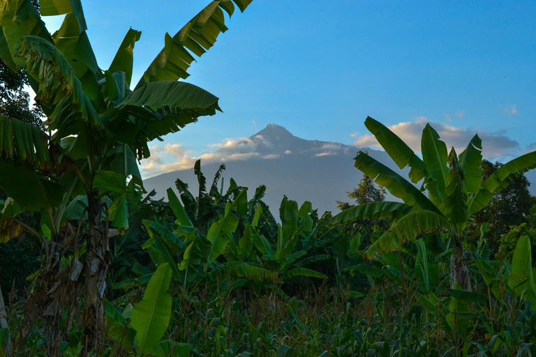 4-dagars Mount Meru Climbing &amp;Wildlife Tour med boende