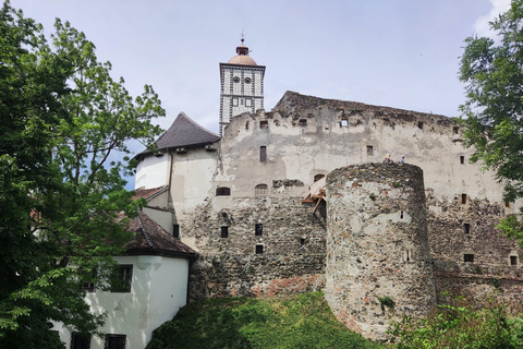 2 Castles and Melk Abbey: Private Guided tour from Vienna