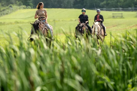 La Vallée: A charming introduction to horseback riding