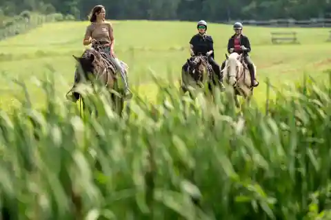 La Vallée : Une charmante introduction à l'équitation