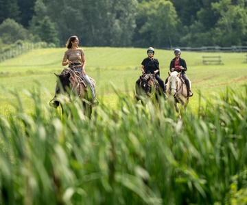 La Vallée: A charming introduction to horseback riding