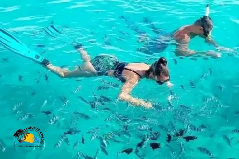 Zanzibar: Mnemba Dolphins &amp; Sunset Dhow Cruise with Lunch