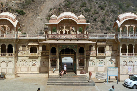 Excursión Safari Nocturno: Explora Jaipur en un Jeep Abierto