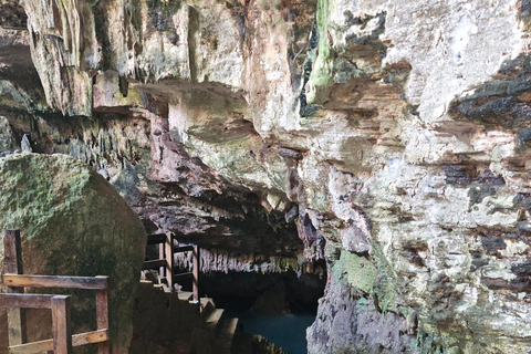 Punta cana buggy /Atv tour e dove grotta