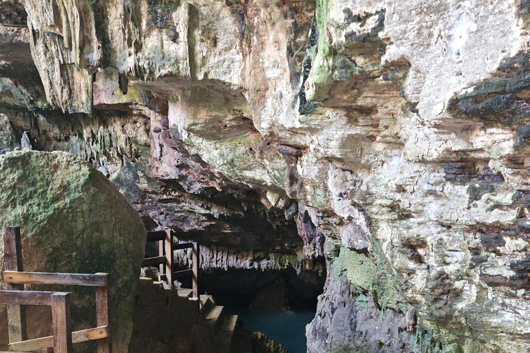 Punta cana buggy /Atv tour e dove grotta