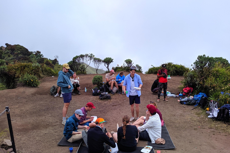 De Yogyakarta: Caminhada de um dia no Monte Merbabu