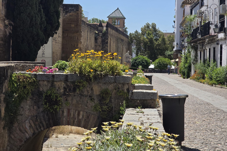 Cordoue : visite de la mosquée-cathédrale, du pont romain et du quartier juif.Cordoue : visite guidée de la mosquée-cathédrale, du pont romain et du quartier juif.