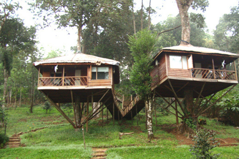 Kerala: 4-Day Honeymoon Tour with Treehouse Stay