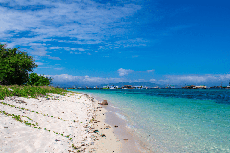 Komodo Island: Private 3-Day Tour with Boat and Hotel Stay