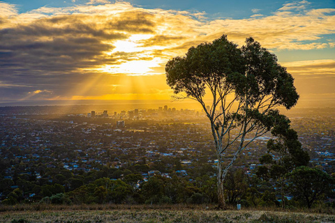 Adelaide Hills: Photography Tour with Coffee