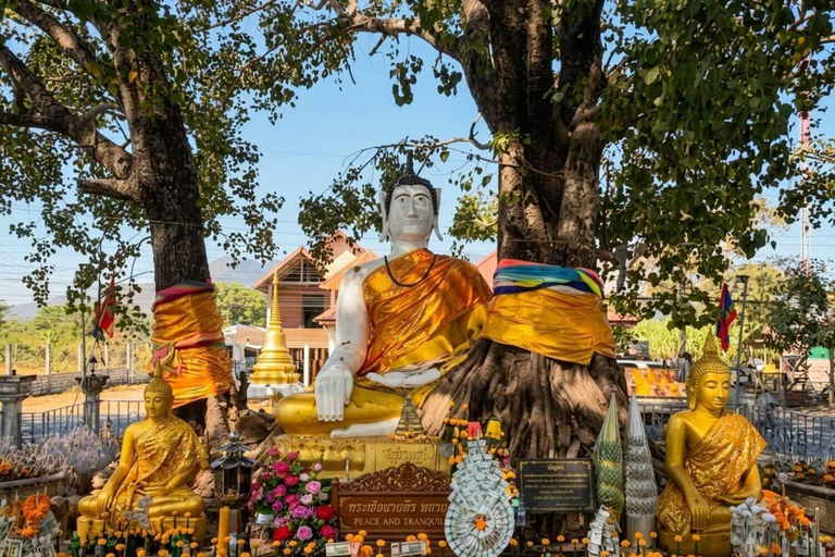 Pakse to Champasak: Mekong Heritage & Local Life Experience Private tour 6-9 pax