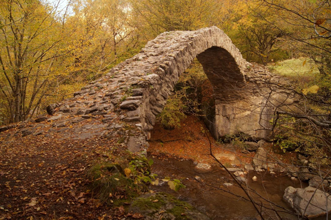 Tbilisi: Silk Road Secret Pass 4x4 Tour to Rkoni & Picnic