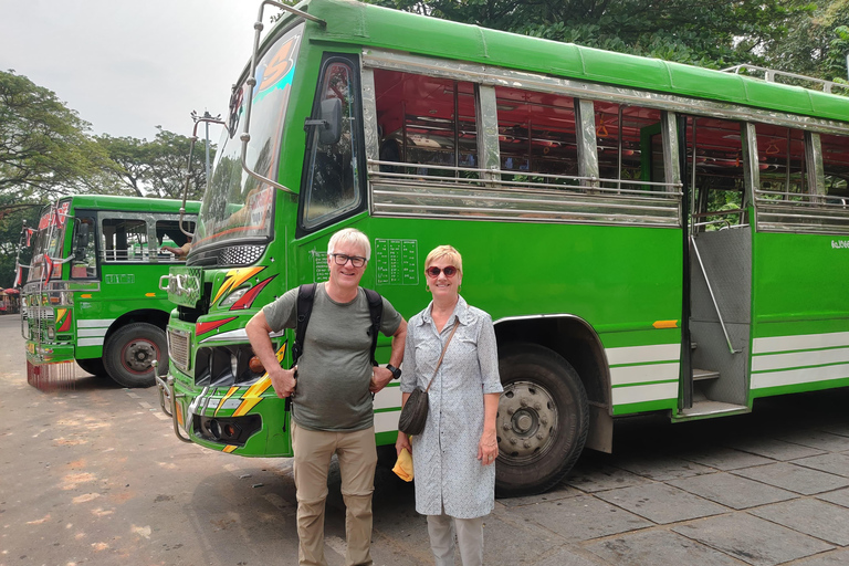 Lo más destacado de la ciudad de Cochin