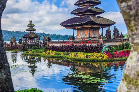 North Bali: Ulun Danu, Waterfalls, Swing and Monkey Forest Private Tour with Entry Ticket