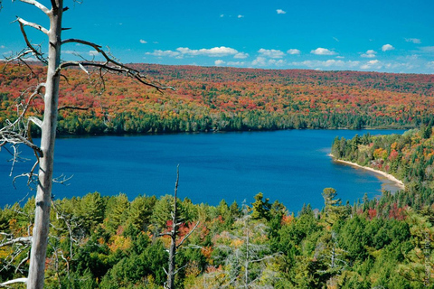 From Toronto: Lake Muskoka and Huntsville Group Day Trip