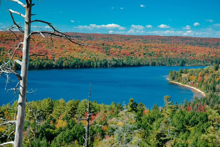 From Toronto: Lake Muskoka and Huntsville Group Day Trip