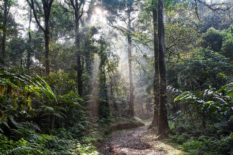 Sri Lanka senderismo, excursión de 5 días