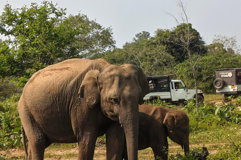Hurulu Eco Park Safari with Authentic Village Experience Hurulu Park Private Safari (Only) - No Entry Fees Included