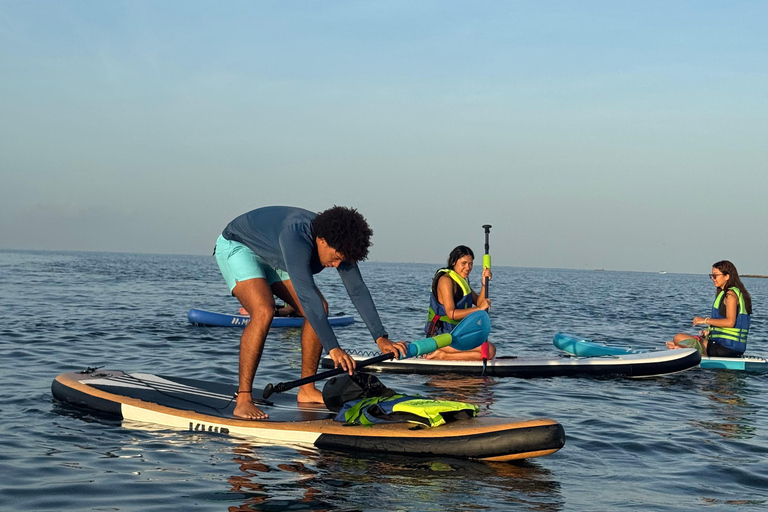 Cartagena: Paddle rental on the beach weekend