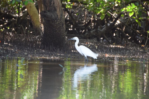 From Mombasa: Funzi Island Canoe Safari with Guide