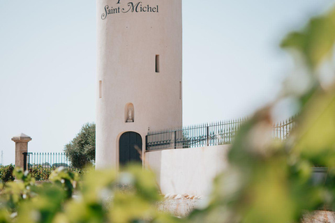 Châteauneuf-du-Pape: tour/tasting in the heart of Domaine Tour St Michel Châteauneuf-du-Pape: tour/tasting in the heart of the Domaine Tour St Michel