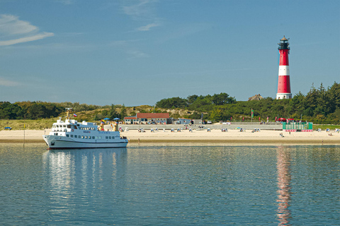 Sylt: Boat tour - afternoon cruise | coffee & cake available