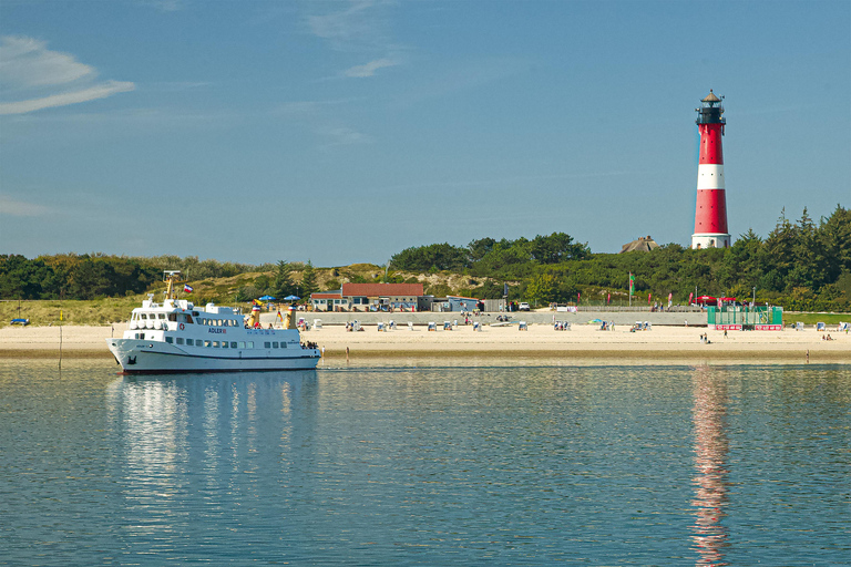 Sylt: Boat tour - afternoon cruise | coffee & cake available