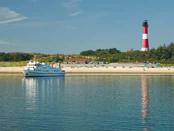Sylt: Boat tour - afternoon cruise | coffee & cake available