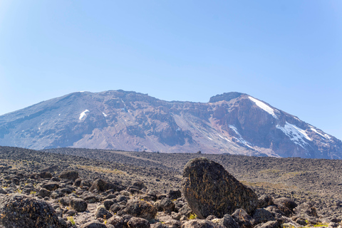 Private 4x4 Vitara Safari in Arusha National Park